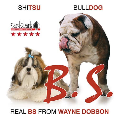 Bullshit-BS Bullshit by Wayne Dobson - Image 1