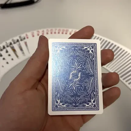 Boris Wild Marked Deck Set - Image 5